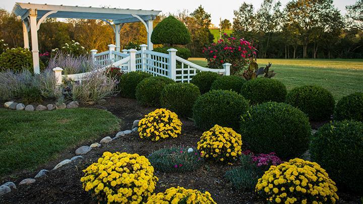 Rabbit Creek Bed & Breakfast Versailles Extérieur photo