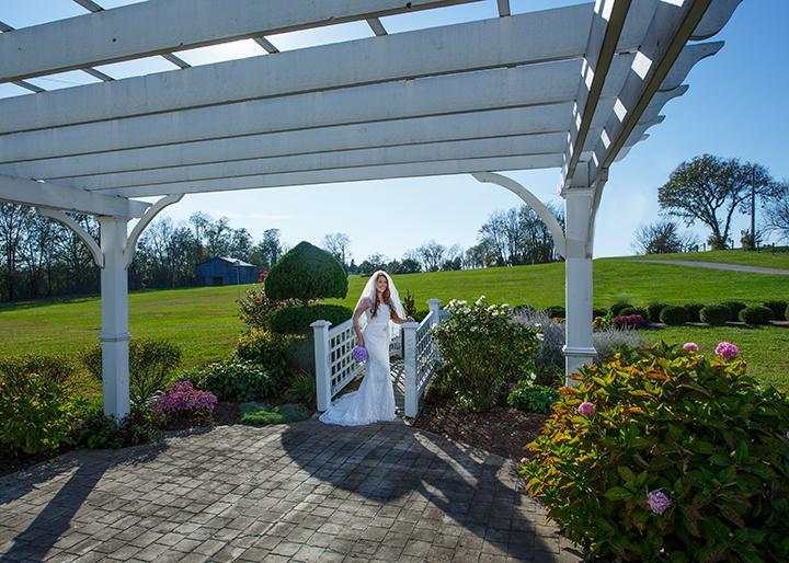 Rabbit Creek Bed & Breakfast Versailles Extérieur photo